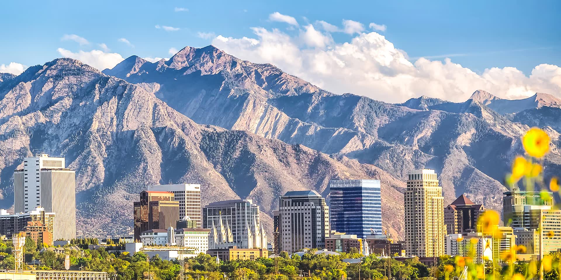 A Pure Maintenance of Utah client at home